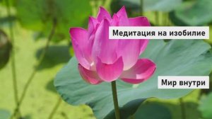 СЛУШАЙТЕ ПЕРЕД СНОМ — И СТАНЕТЕ ДЕНЕЖНЫМ МАГНИТОМ! | Медитация на изобилие