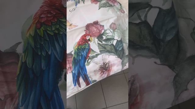 +79494760872 ватсап, телеграм Постельное белье Египетский х смотреть онлайн