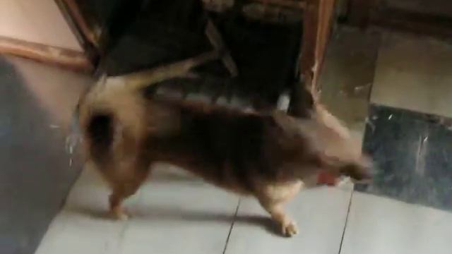 Прикол. Кто молодец ? смотреть онлайн