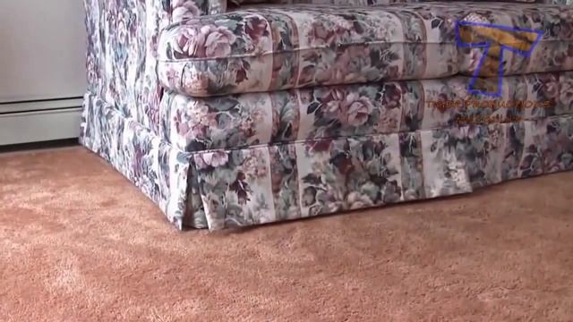 Приколы! Собаки не любят воду УГАРЫ Февраль 2014 Funny Pets Compilation смотреть онлайн