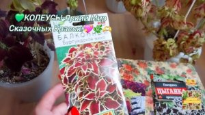 💖КОЛЕУСЫ-Яркий Мир Сказочных Красок.💚🌿🫶