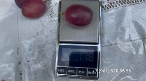 Виноград Императрица 3 сентября 2024 год. Новороссийск К