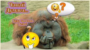 Немного позитива – поехали?