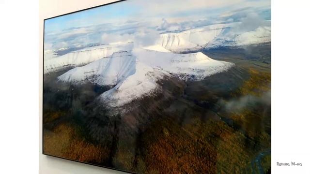 Выставка "Первозданная Россия" 2020/часть1 смотреть онлайн