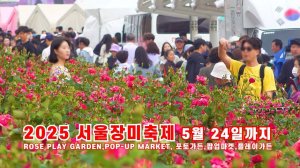 2025 서울장미축제, 팝업마켓, 새빨간 로즈 플레이 가든 구석구석 구경하기, 중랑장미공원, 5월 24일까지, 중랑 서울장미축제, 서울 여행 워커