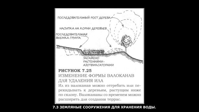 БИЛЛ МОЛЛИСОН \\\ Пермакультура: Руководство для дизайнера (ГЛАВА 7)