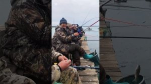 Рыбалка в январе ! Новотроицкое водохранилище. Выезд с