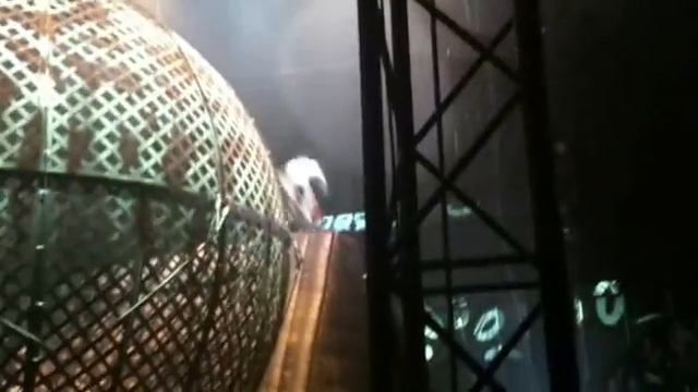 Цирк Флик Фляк 2011 (02) смотреть онлайн