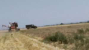 комбайн СК 5 м 1 нива збирання озимого ячмінь по ноу тіл