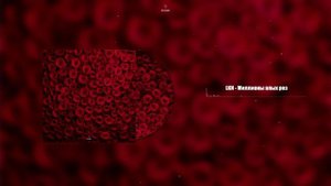 LKN - Миллионы алых роз (Official Audio)