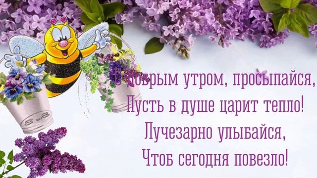 ☕️ От меня приветик! Позитивчик для друзей! Музыкальная видео открытка