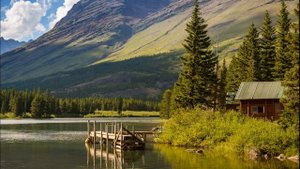 💞ВПЕРВЫЕ на YouTube💞Непредвиденная любовь💞Ч.1. Рассказы   История до слез.Истории жизни.