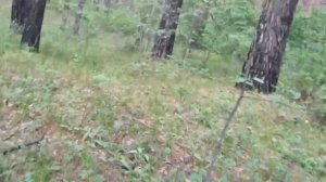 Тоска по земле. Рождение садовода В.Железова. Часть 1.