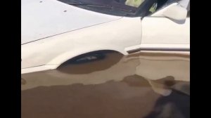 Степааан а Степана нет