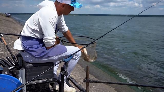 ВЫБОР КВИВЕРТИПА  ФИДЕРНЫЕ ВЕРШИНКИ  ZEMEX Advice