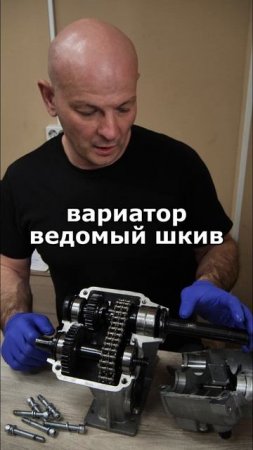 Устройство коробки реверса снегохода: Настройка и принцип работы!