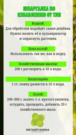 Шпаргалка по избавлению от тли