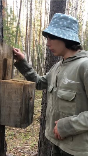 «Шерстяной бум для птиц: московки одобрили новый стиль!» 🎨🐑