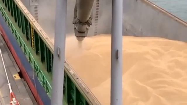 Экспорт зерна из России смотреть онлайн