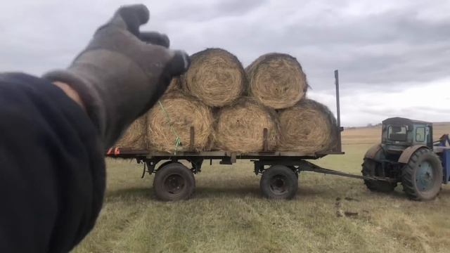 Кун на Т-40 , возим сено . смотреть онлайн