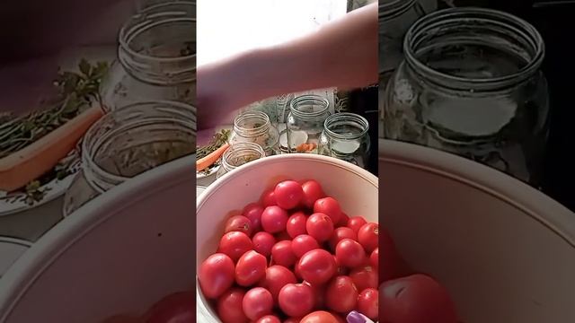 Помидоры с чесноком внутри/#помидорырецепт #помидоры смотреть онлайн