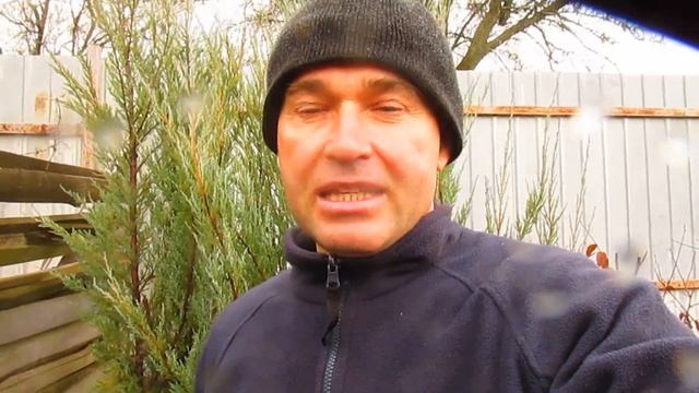 Абрикос. Наблюдения и выводы. смотреть онлайн