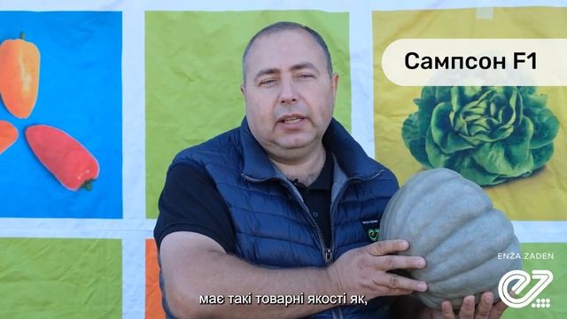 Сампсон F1 / Sampson F1,100-110 дней - Тыква, Enza Zaden смотреть онлайн