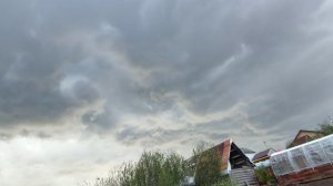 Дачный сезон 21.05.2025. Посадка картофеля.