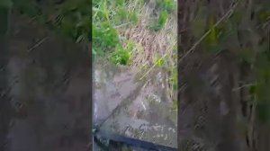 Рыбалка на гальяна.