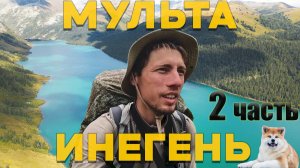 АЛТАЙ. Кругом медведи! Пеший СОЛО поход в ГОРЫ. МУЛЬТА ИНЕГЕНЬ 2 часть