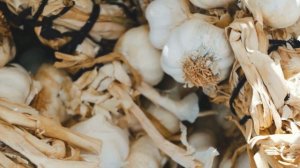 Польза чеснока для здоровья