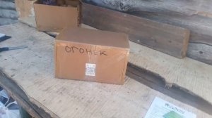 Семенной картофель сортов Кумач и Огонёк с Вайлдбериз