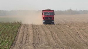 Уборка сахарной свёклы в Великом Селе Комбайном ROPA EURO