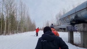 Мотособака. Нашли псевдозайца. Путешествие на болото ?