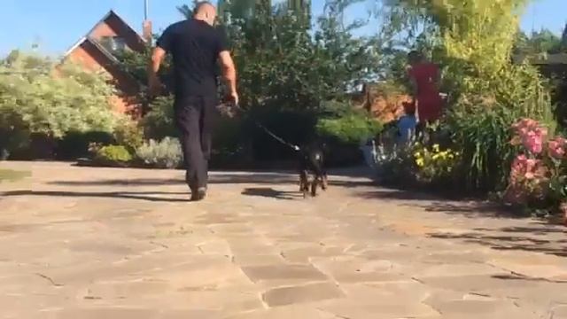 Бьюти (1) смотреть онлайн