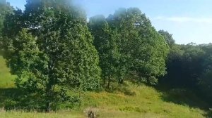 Отправление со станции Великие Луки.