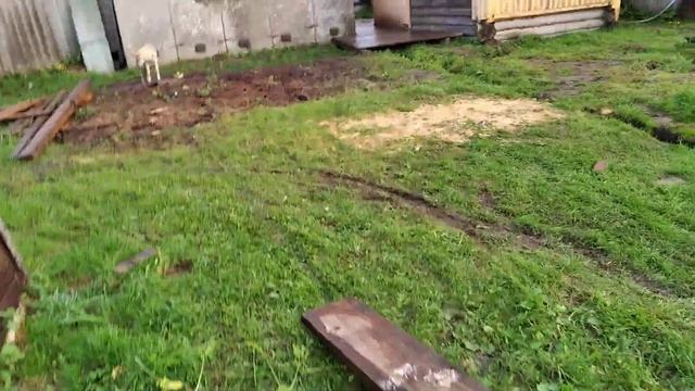 Хочу новый велик ...... 1 видио смотреть онлайн