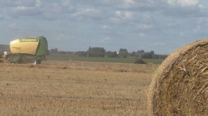 Тюкование соломы. четырмя Тракторами МТЗ ТРОПИК 1221.3, М