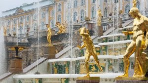 Петергоф летом 2024 года. Красота и услада для глаз  #петербург #петергоф #travel