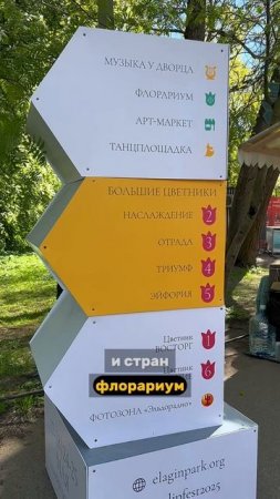 Фестиваль тюльпанов