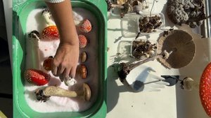 Как сушить грибы под заливку эпоксидной  смолой