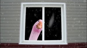 Розовый гусь, смотрит в окно, хочет понять - почему так темно!