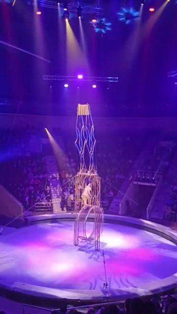 ОПАСНЫЙ номер В ЦИРКЕ чуть не упал