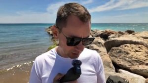 Убийство Портнова в Испании! Уроки истории