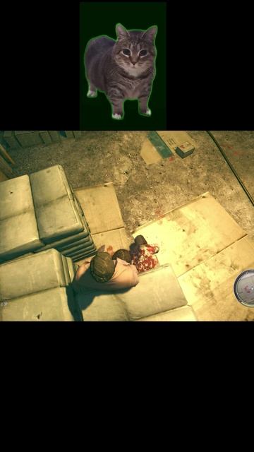 Глюк в Mafia 2