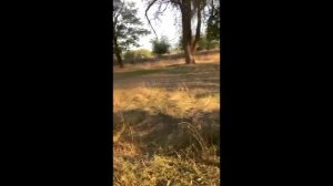 ОБЗОР НА МОПЕД Kometa kt 50