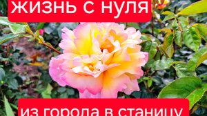492 🏠 Жизнь с нуля в станице на юге. Борьба продолжается. Мы не сдаёмся.