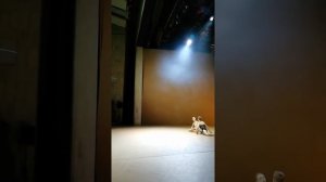 Балет элементы