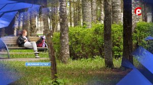 Клещи! Много клещей!