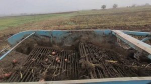 🇺🇦Копаєм картоплю на Т-25А КТН-2🇺🇦